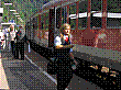 050824d1.jpg