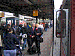 050916f1.jpg