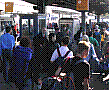 051014b1.jpg