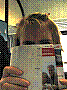 060416o1.jpg
