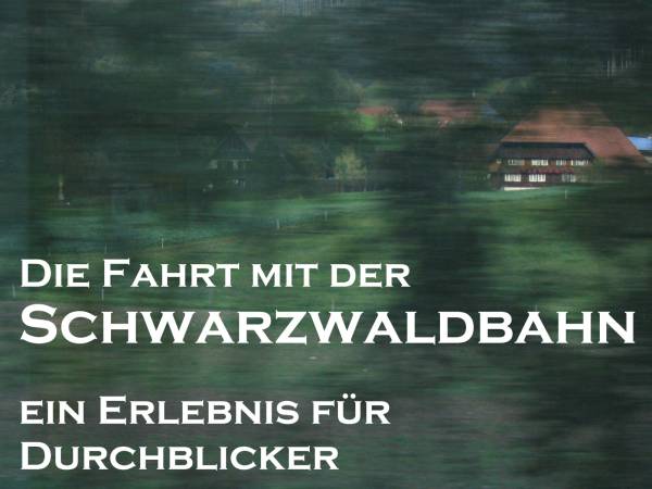 schwarzwaldbahn-061009h41.jpg