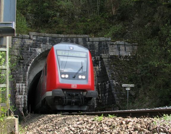 080509k5-4716-146230-tannenwald-t.jpg