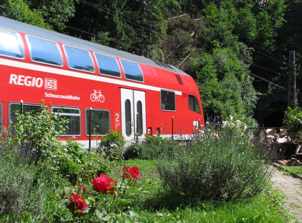 080628e2-4716-im-garten.jpg