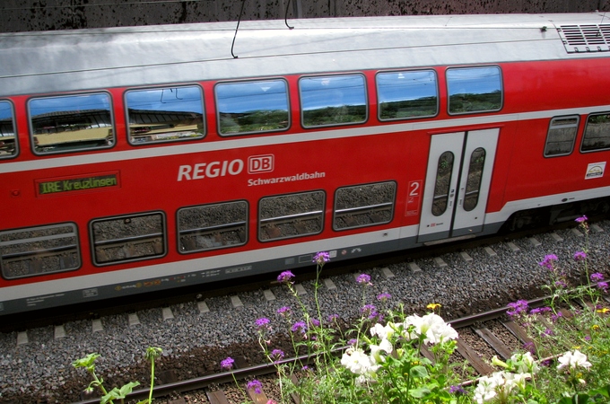 080810b2-swb-blick-aus-wz.jpg