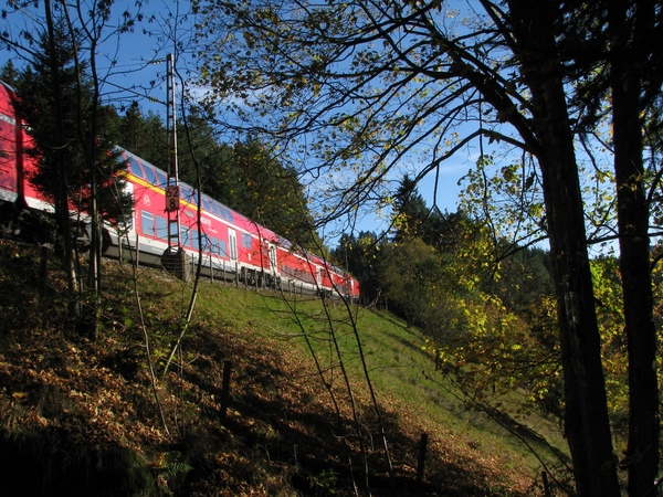 081019o14713-hohnen-herbst.JPG