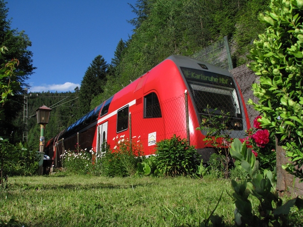 090529n1-4718-im-blumenbeet.JPG