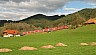 070308c22-4715-146235-gutach.jpg