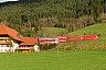 070308f6-4716-146236-gutach.jpg
