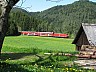 080509h3-4711-146234-hippensbach.jpg