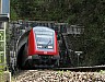 080509k5-4716-146230-tannenwald-t.jpg