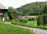 090522g1-4710.JPG