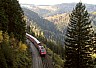 091027f52-steilhang-seelenwald.jpg