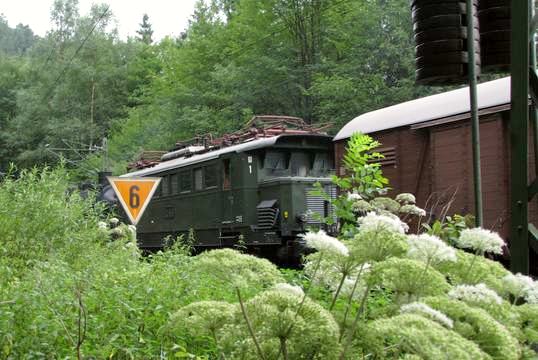 E 44 1170 - gr&uuml;n in gr&uuml;n auf der Schwarzwaldbahn